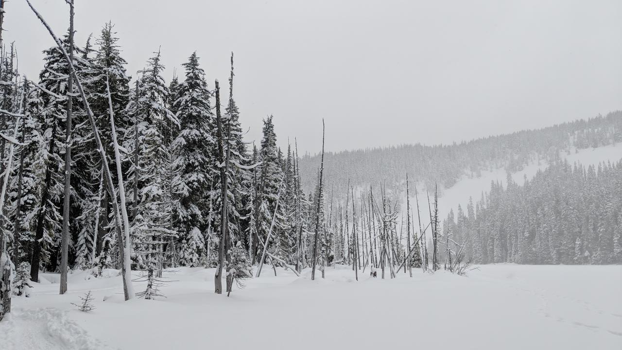 White Pass Log Cabin Luxury Retreat Rimrock Buitenkant foto